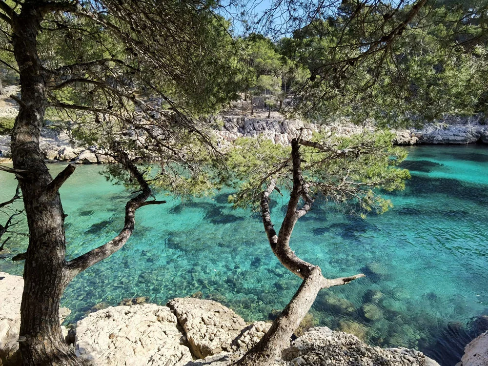 Cassis & ses Calanques